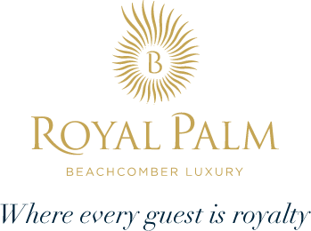 Royal Palm Beachcomber